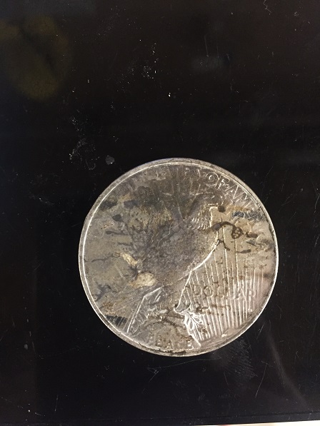 1922-VAM-Peace-Dollar---Satin-Or-Matte-Finish?